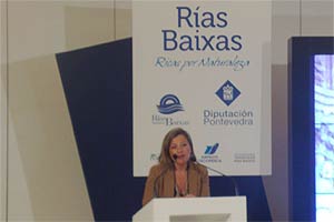 Teresa Pedrosa, vicepresidenta de la Diputacin de Pontevedra.