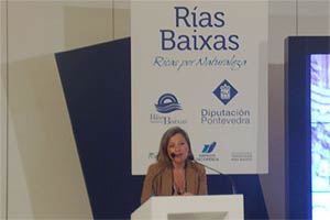 Teresa Pedrosa, vicepresidenta de la Diputación de Pontevedra.