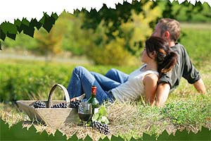 Ruta del vino en Francia