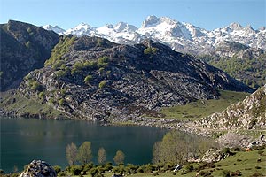 Picos Europa