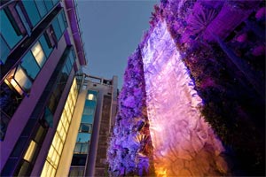 El jardín colgante mayor del mundo