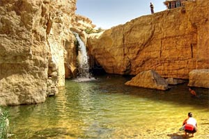 Una bellsima vista en un oasis de Tnez