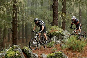 Gran Canaria naturaleza