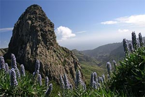 La Gomera naturaleza