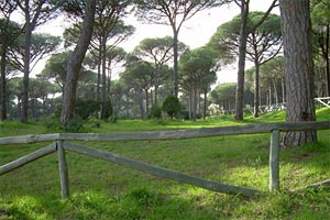 Parque de los Caños de Meca