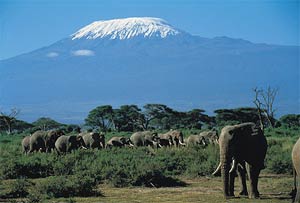 Parque amboseli